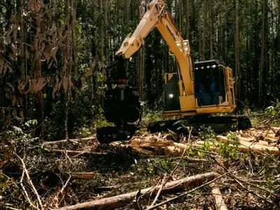 Land Clearing Services Minneapolis in Minneapolis